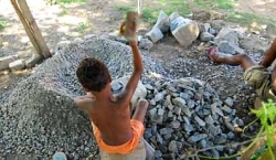 OIT alerta que 168 milhões de crianças realizam trabalho infantil no mundo