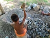 OIT alerta que 168 milhões de crianças realizam trabalho infantil no mundo